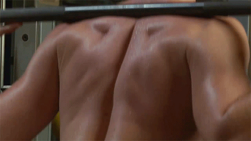 Click for GIF