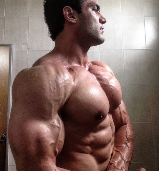 JOSE GERARDO.