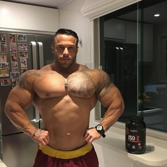 MEGAPECS.