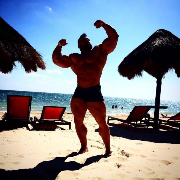 Massive Inspiration!