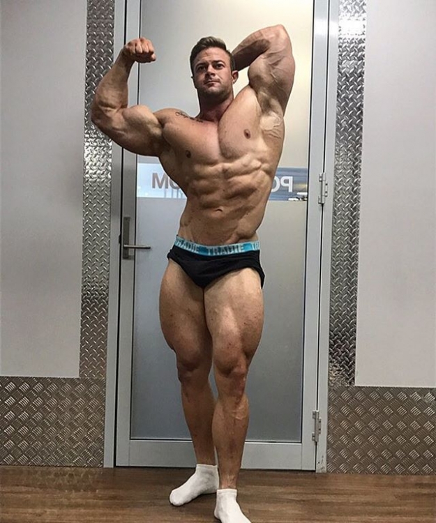 ROSS MOLONEY.