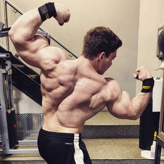 JOSHUA TAUBES.