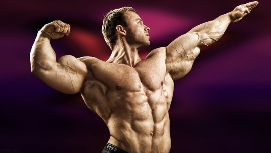 MALE BODYBUILDER.