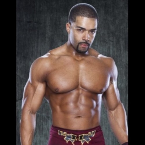 David Otunga In The Ring
