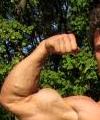 musclefan71's Avatar