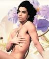 harlemblkboy2's Avatar