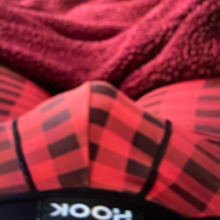 Horny4musclebutt's Avatar