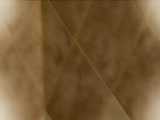 Thumb 9