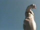 Thumb 7
