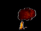 Thumb 9