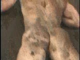 Thumb 9