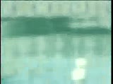 Thumb 9
