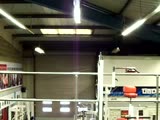 Thumb 9