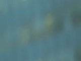 Thumb 9