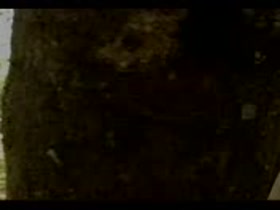 Thumb 11