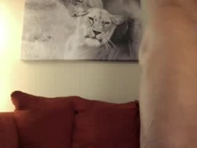 Thumb 17