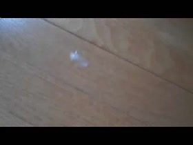 Thumb 20