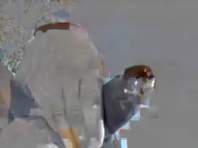 Thumb 20