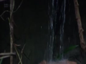 Thumb 11