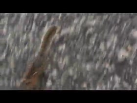 Thumb 9