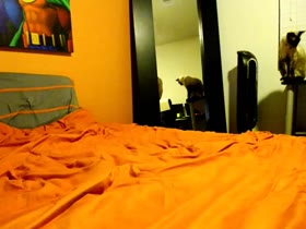 Thumb 6
