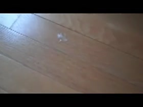 Thumb 20
