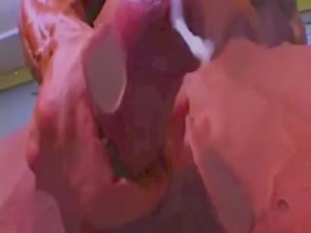 Thumb 9