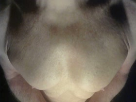 Thumb 8