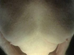 Thumb 12