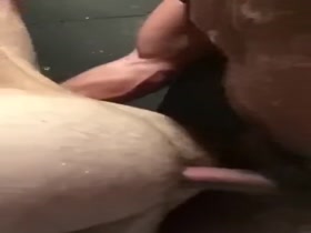 Thumb 12
