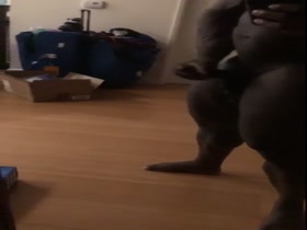 Thumb 10