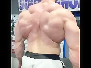 Back.... of the Gods